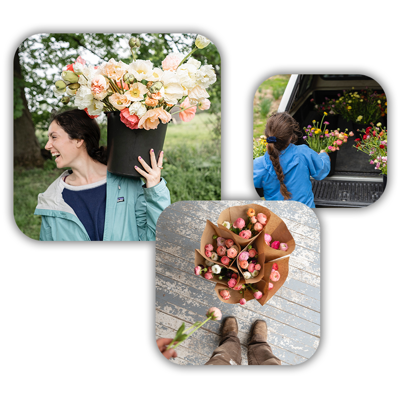 florist-keypoints-pic